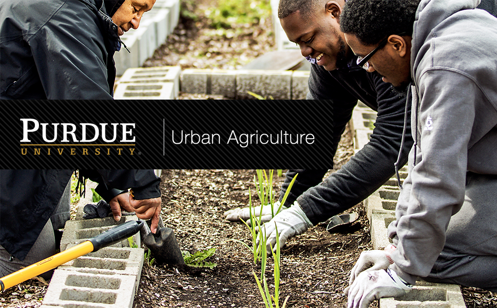 Urban Agriculture Certificate from Purdue University