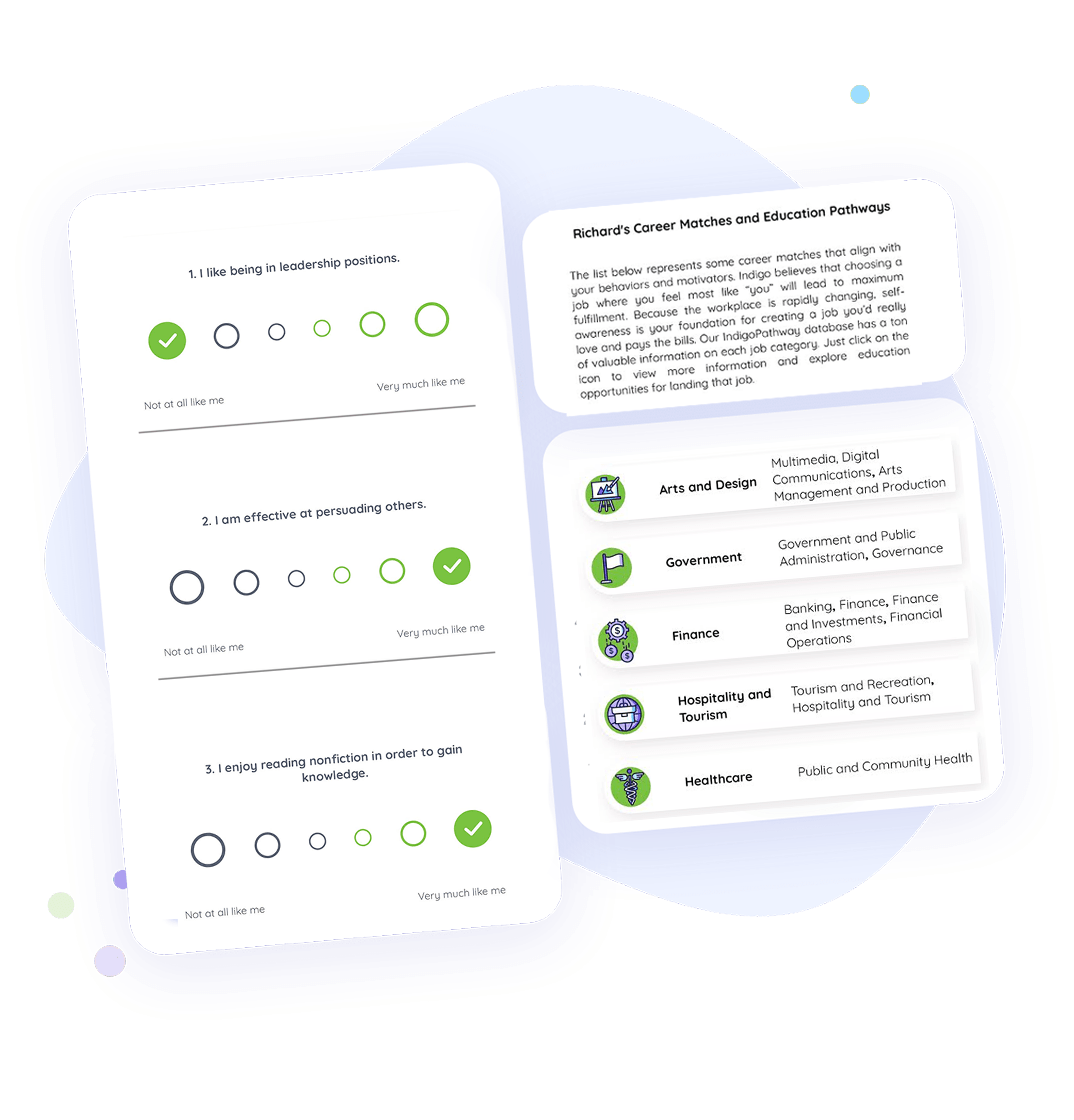 Indigo Best Career Pathway Test