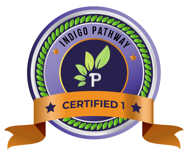 Indigo Best Career Pathway Test