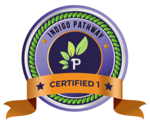 Indigo Best Career Pathway Test