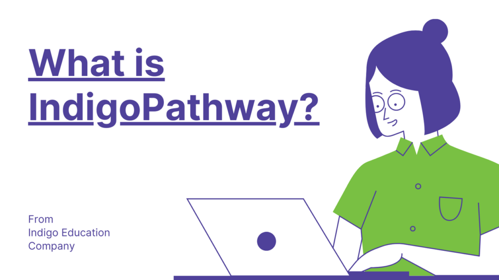 Indigo Best Career Pathway Test