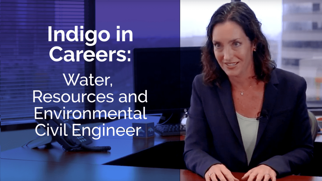 Indigo Best Career Pathway Test