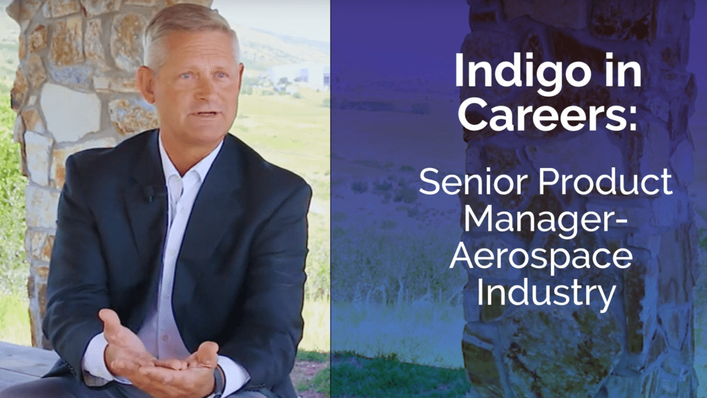 Indigo Best Career Pathway Test