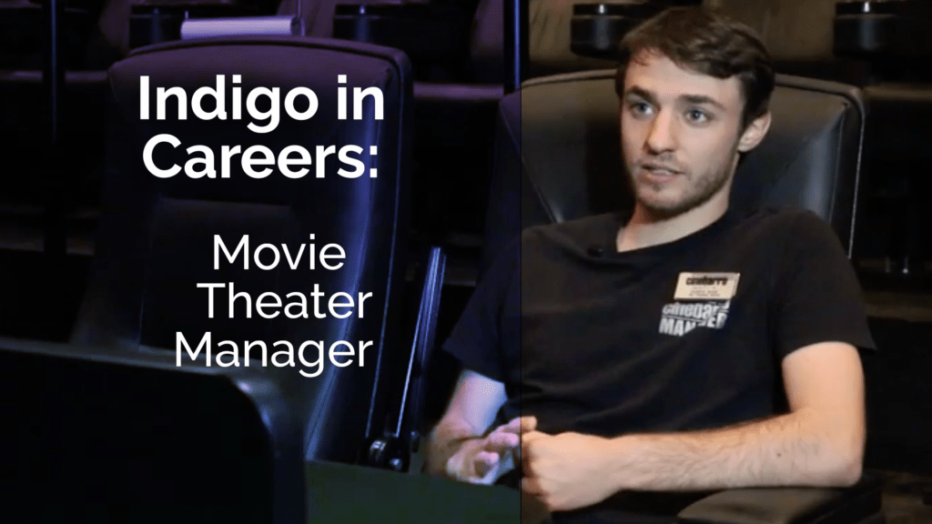 Indigo Best Career Pathway Test