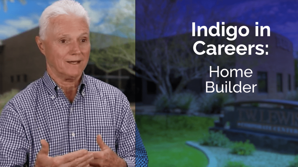 Indigo Best Career Pathway Test