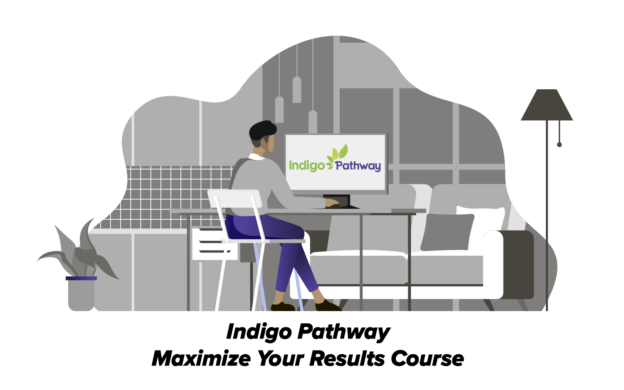 Pathway Course Image 624x390 - IndigoPathway Coaching Certification Course - Level 1